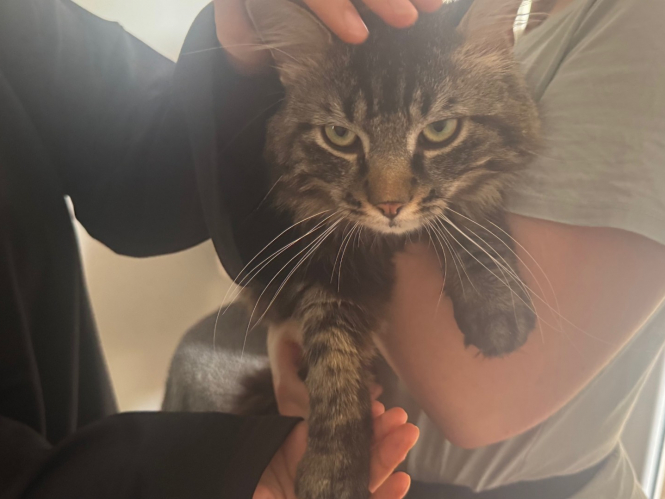 Gemeinsam für „Herrn Jan Rasselstein“ – Futterspenden für das Tierheim Andernach